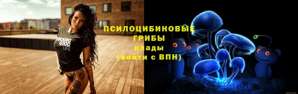 мдма Каменка